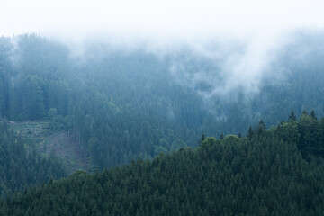 Foggy mountain and forest landscape with the best mystic atmosphere in the east of Bohemia.