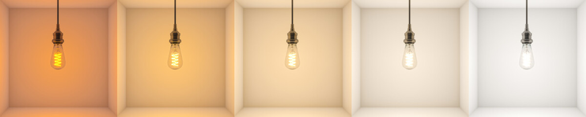 example of color temperature of bulbs from 2000 kelvin to 5000 kelvin. - obrazy, fototapety, plakaty