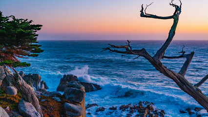 Pebble Beach 17-Mile Drive at Sunset © ineffablescapes