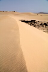 Fototapeta na wymiar Taboga Dunes desert, Morocco. Sand dunes.