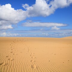 Fototapeta na wymiar Sand dunes in Morocco - Taboga desert dunes