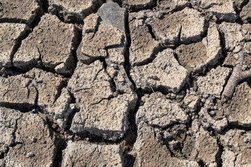 sécheresse, le marais