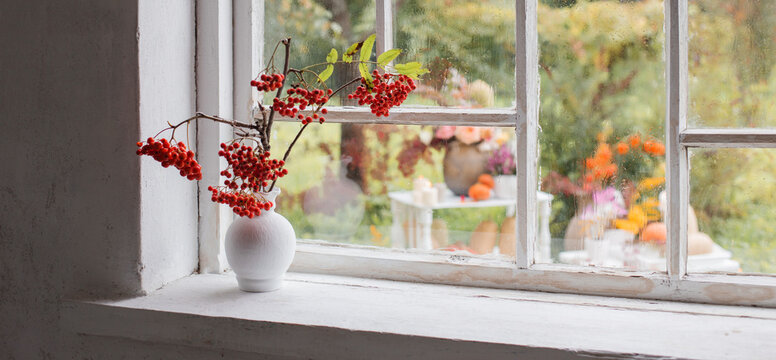 rowan berries in white vase on old white windowsill