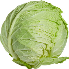Obraz premium Green cabbage