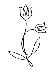 Flower with one line, PNG with transparent background.
