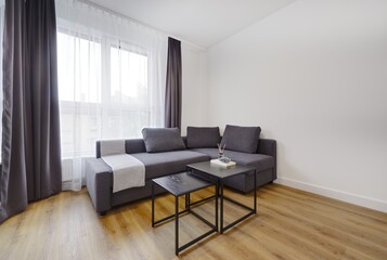 Fototapeta na wymiar Jasny salon w apartamencie z szarą kanapą, stolikiem kawoym i telewiziorem