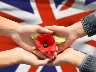 Fototapeta premium Poppy Day , Remembrance Day . Concept - patriotism, honor