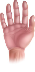 Hand five senses human body part sensory organ icon representing touch
