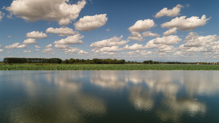 lago superiore mantova