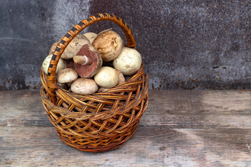 picking mushrooms, a bunch of champignons in a basket on a wooden background