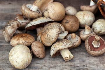 collection of mushrooms, champignons bunch on a wooden background