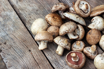 collection of mushrooms, champignons bunch on a wooden background