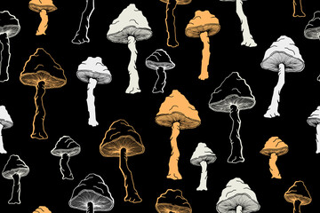 Amanita choky inedible mushrooms seamless pattern vector illustration.