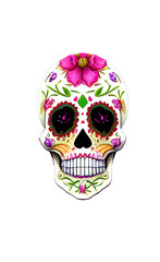 Sugar Shull ,Colorful Dia de los muertos mexican holiday Day of Dead