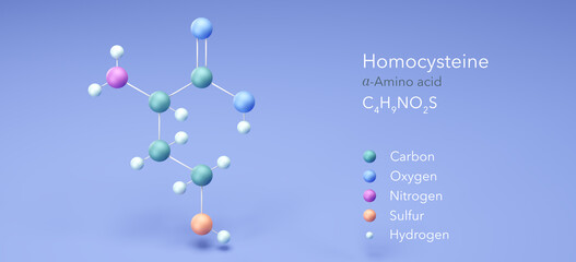 homocysteine, molecular structures, amino acid, ball and stick model 3d, Structural Chemical Formula and Atoms with Color Coding