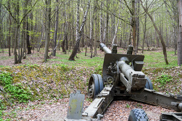 Fototapeta premium Cannon from the Second World War in forest on concrete base.