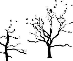 Old dry, bare tree branches set. Black silhouettes. Sketch hand drawn. Isolated on white b