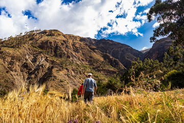 Tourists on a trek over the wheat fields towards the Andean mountains of Peru.