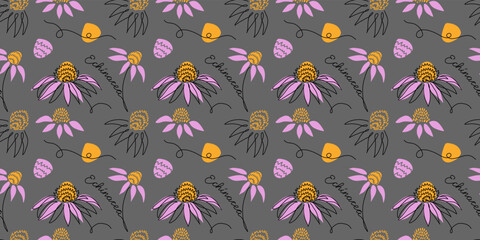 Purple echinacea, coneflower seamless vector pattern. One continuous line art drawing pattern with echinacea flower
