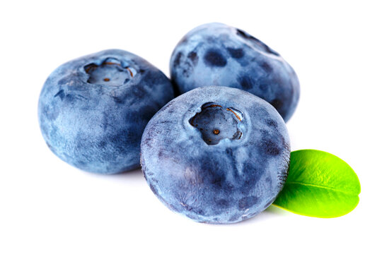 Blueberry isolated on white background. Vegan and vegetarian concept. Macro texture of blueberry berries.Texture blueberry berries close up. Blueberry with leaves.