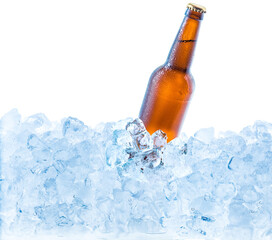 Cold brown bottle of beer in the ice cubes. Isolated on white.