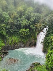 Naklejka na ściany i meble waterfall in jungle