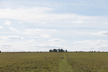 Fototapeta na wymiar Grass field near the Historical Landmark Stonehenge