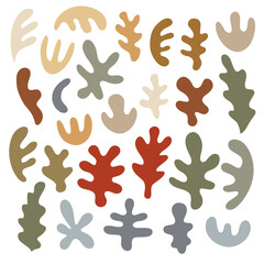 Abstract plant shapes on white background. Hand drawn vector illustration for your design.