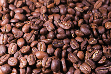 macro photography of various roasted coffee beans