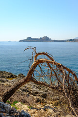 photographs of Corfu and the island of Vedos taken from a boat during a sightseeing trip