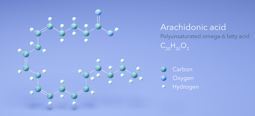 arachidonic acid, molecular structures, omega-6, ball and stick model 3d, Structural Chemical Formula and Atoms with Color Coding - obrazy, fototapety, plakaty