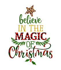 Believe in the magic of Christmas - Calligraphy phrase for Christmas. Hand drawn lettering for Xmas greetings cards, invitations. Good for t-shirt, mug, gift, printing press. Buffalo plaid and leopard