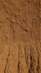 Paisaje Desert Tatacoa - Desierto de la Tatacoa - Huila, Colombia