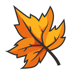 Autumn maple leaf illustration isolated