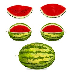Realistic watercolour painting of juicy ripe sliced  and whole watermelon with seeds and seedless isolated on transparent  background 
