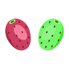 cactus, fig, cactus fig