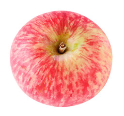 One red apple top view
