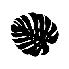 Exotic monstera. Continuous one-line drawing. Handmade summer tropical leaf on white background. Minimalist design. Maranta leaf.