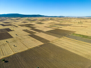 Naklejka premium sowing, planting and agricultural works in accordance with the economic development model in rural areas