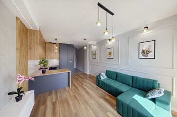 Fototapeta Piękny salon w nowoczesnym apartamencie z zieloną sofą obraz