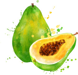 Watercolor illustration of papaya fruit