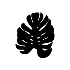 Exotic monstera. Continuous one-line drawing. Handmade summer tropical leaf on white background. Minimalist design. Maranta leaf.