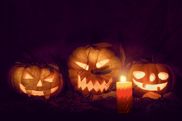 Three jack-o'-lanterns with candles on autumn foliage. Glowing pumpkins in a mysterious night.