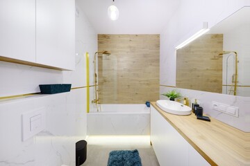 Przestronna nowoczesna łazienka w stylowym partamencie - obrazy, fototapety, plakaty