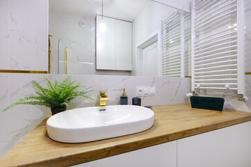 Przestronna nowoczesna łazienka w stylowym partamencie - obrazy, fototapety, plakaty
