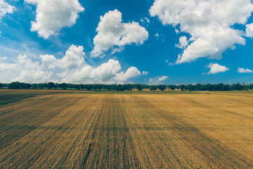 Fototapeta premium Beautiful countryside meadow landscape