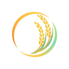 paddy rice premium organic natural product 