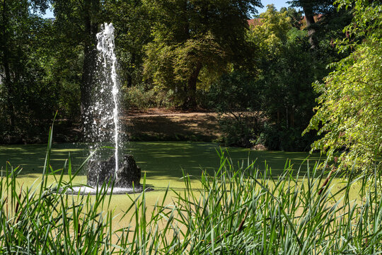Decorative fountain located in the middle of a pond overgrown with duckweed in the city park of Dresden.