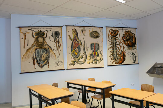 The Hague, Netherlands - September 2022: Biology classroom of a high school. On the wall are several posters with enlargements of animals.