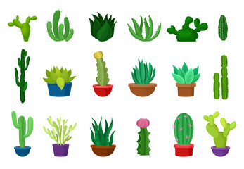 Cactus Succulent Exotic Plant Growing in Ceramic Pot as Houseplant Big Vector Set